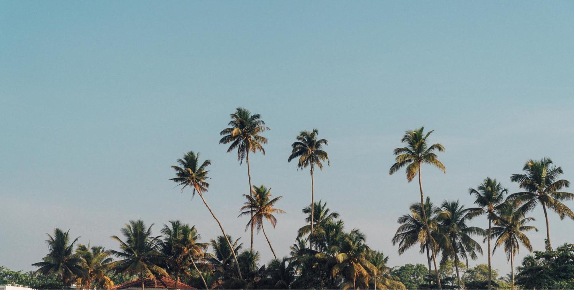 Lucky'S Surf Camp Weligama Exterior foto