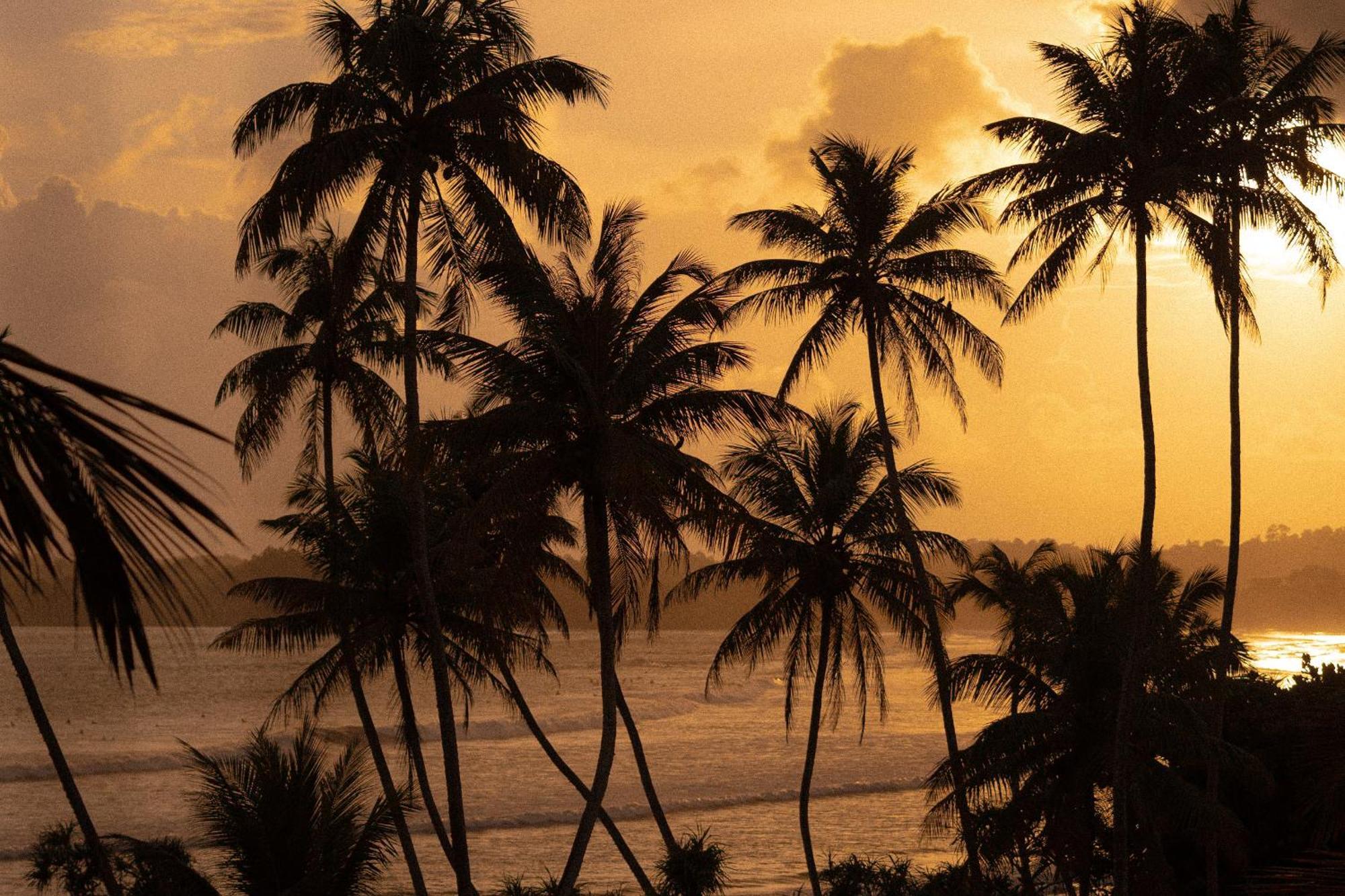 Lucky'S Surf Camp Weligama Exterior foto